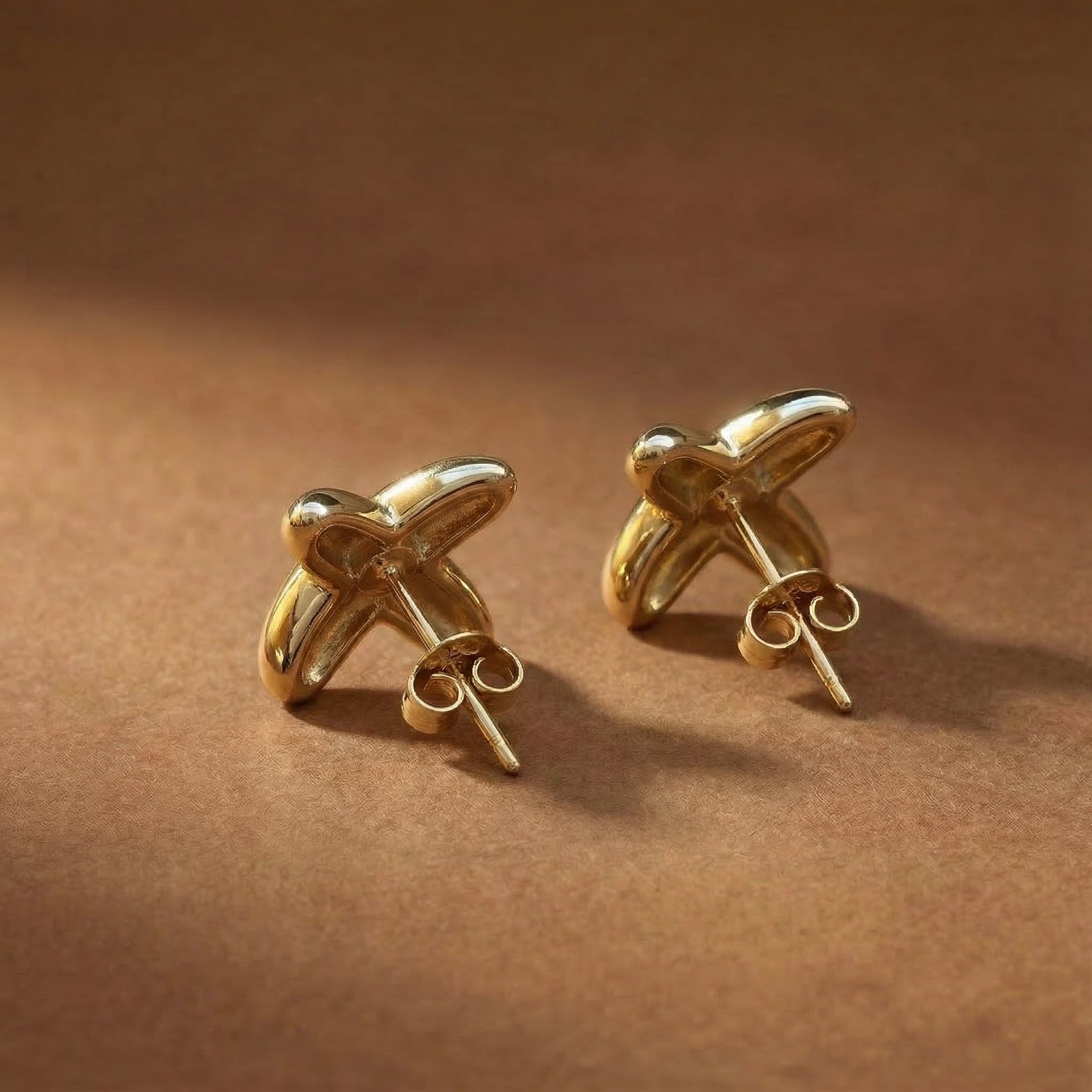 Aretes Equis