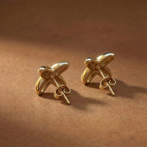 Aretes Equis
